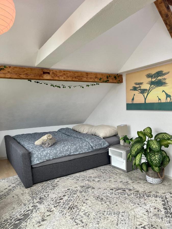 Old Farmhouse Loft Near Vaduz Sevelen ภายนอก รูปภาพ